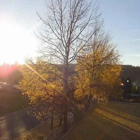 Appartement Alpenau 4 *