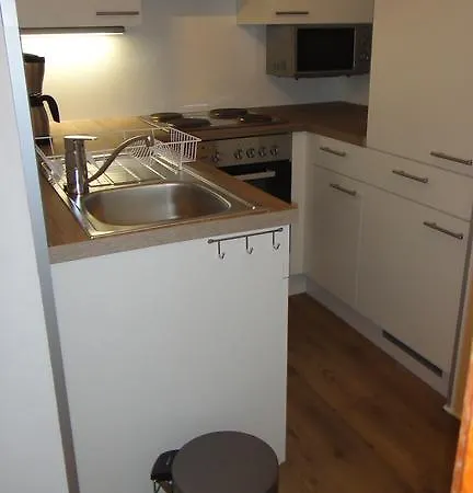 Appartement Alpenau 4 *
